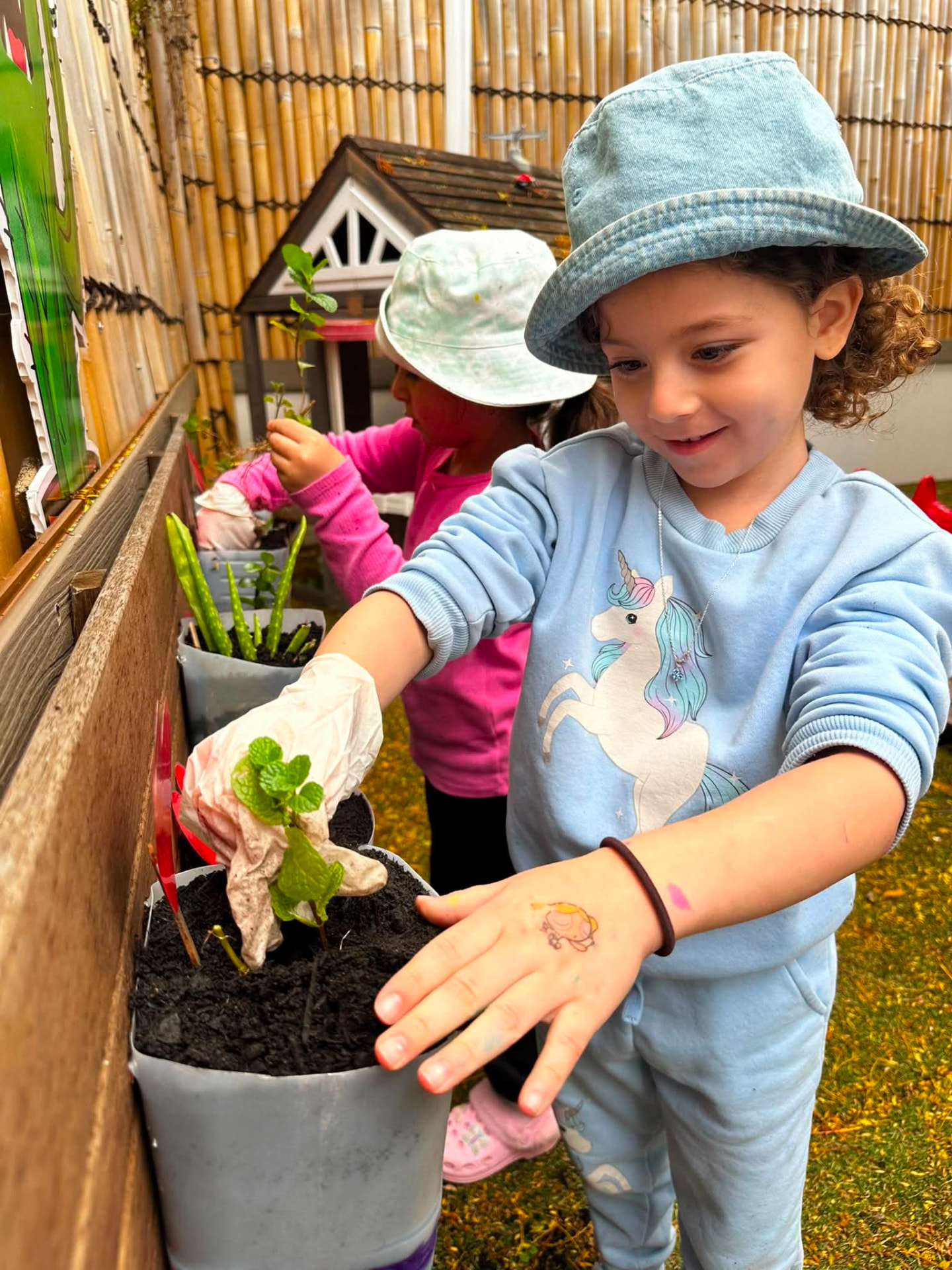 potting